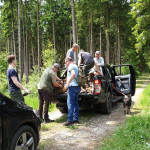 Baumschutz_05