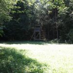 Lehrrevier 3